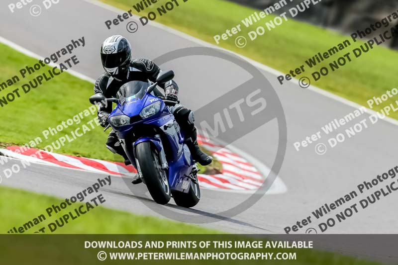 Oulton Park 21st March 2020;PJ Motorsport Photography 2020;anglesey;brands hatch;cadwell park;croft;donington park;enduro digital images;event digital images;eventdigitalimages;mallory;no limits;oulton park;peter wileman photography;racing digital images;silverstone;snetterton;trackday digital images;trackday photos;vmcc banbury run;welsh 2 day enduro